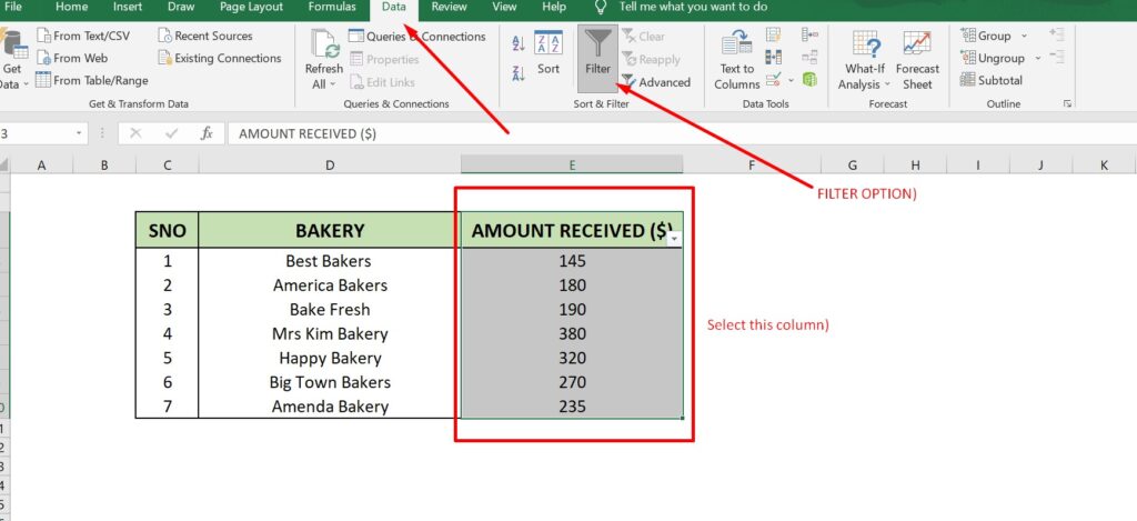 filter in excel1