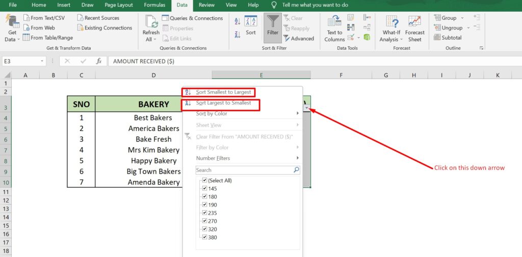 filter in excel2