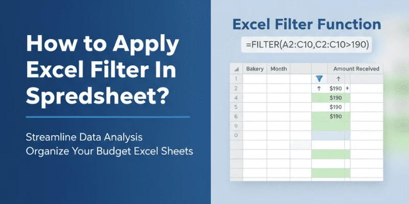 How to use Filter in Excel?